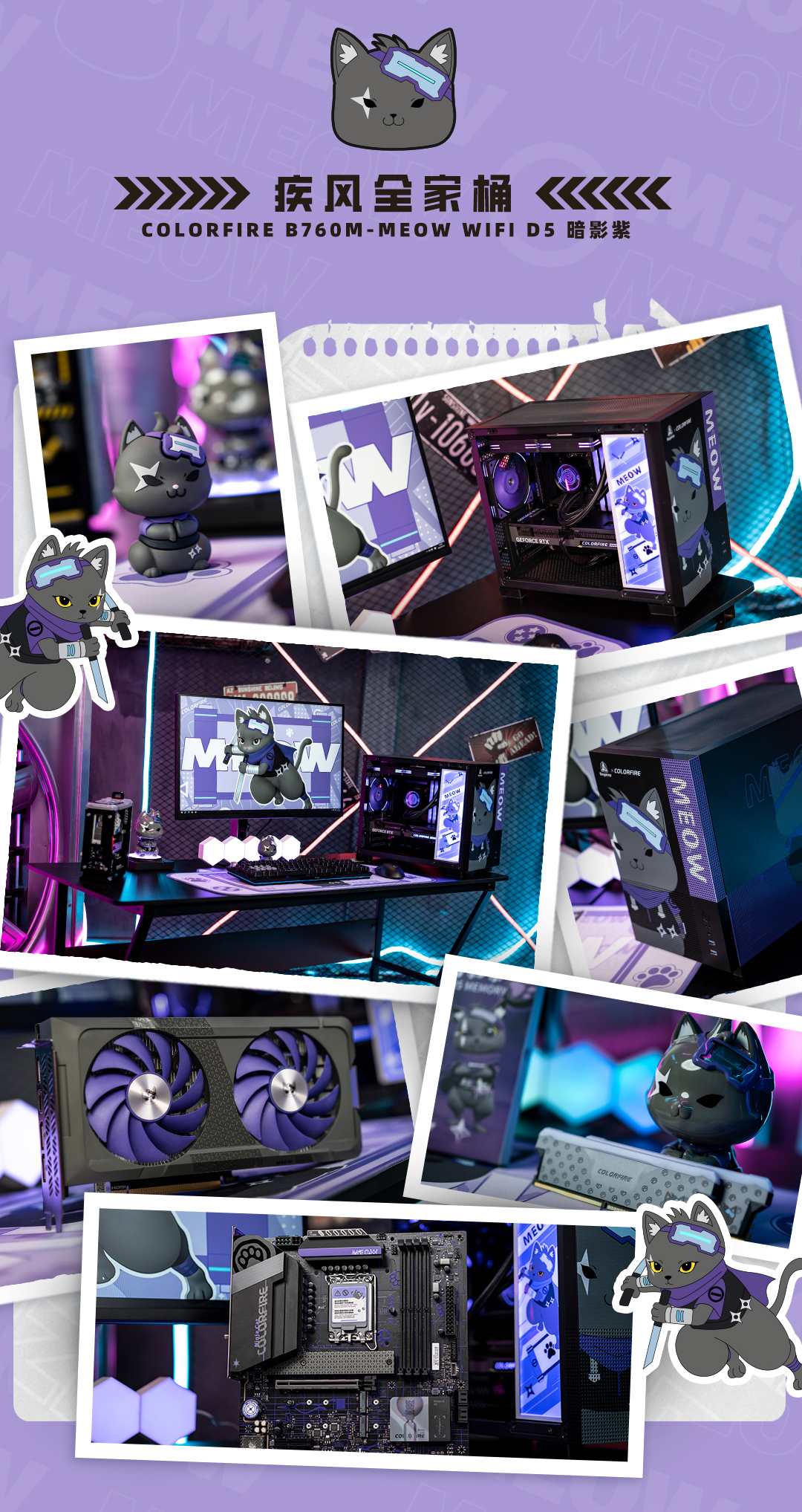 紫貓數(shù)據包_02.jpg